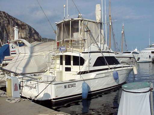 Bertram Bertram 37' convertible