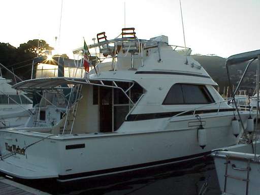 Bertram Bertram 37' convertible