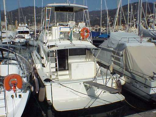 Bertram Bertram 37' convertible