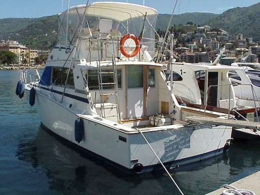 Bertram Bertram 38' convertible