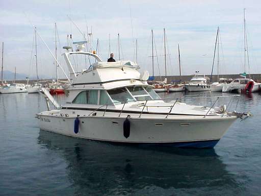 Bertram Bertram 38' convertible