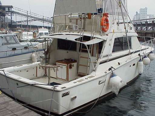 Bertram Bertram 38' convertible