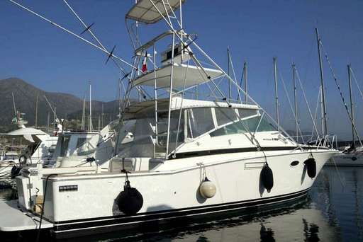 Bertram Bertram 38' special