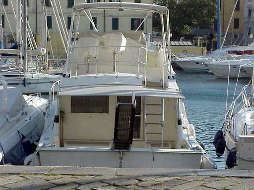 Bertram Bertram 43' convertible