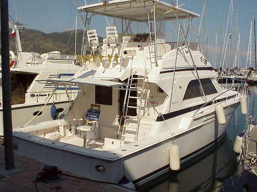 Bertram Bertram 43' convertible