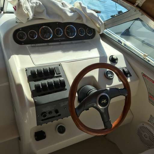 SEA RAY SEA RAY 250 sundancer