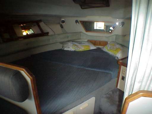 Sea ray Sea ray Sundancer 300