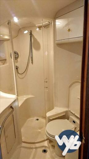 Sea Ray Boats 480 sedan bridge Hygienic service