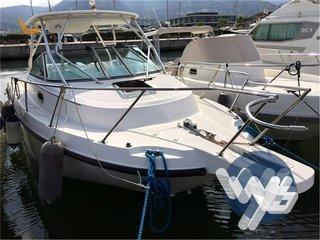 Boston Whaler Conquest 275 USATA