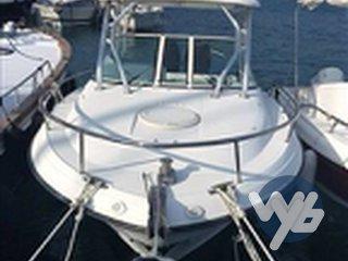 Hydra-sports 2500 vx