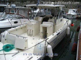 Zeta group F300 bluetime USATA