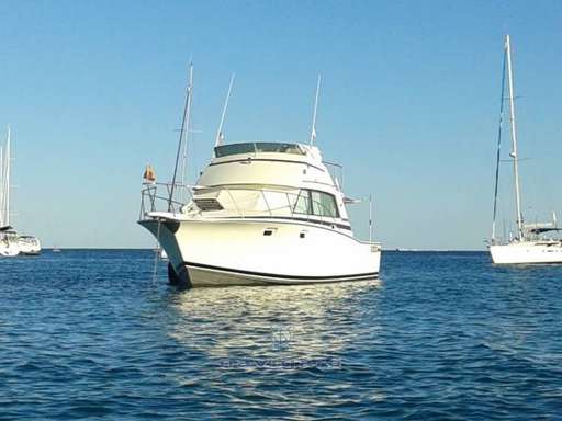 Bertram Yacht Bertram Yacht 38' Sport fish MK 3