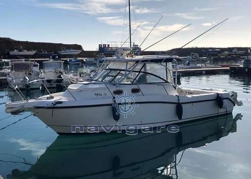 Boston Whaler Boston Whaler BOSTON 305 CONQUEST