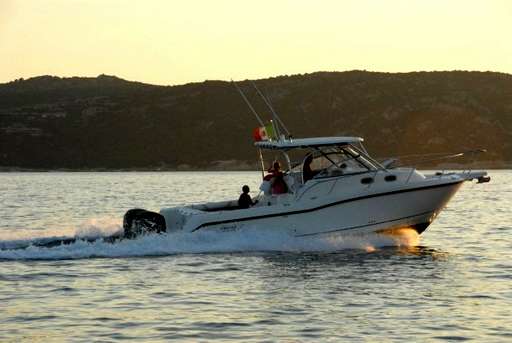 Boston whaler Boston whaler 305 conquest