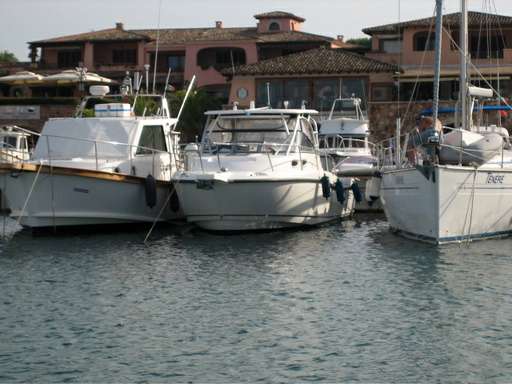 Boston whaler Boston whaler 305 conquest