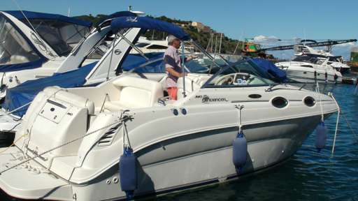 Sea ray Sea ray 240