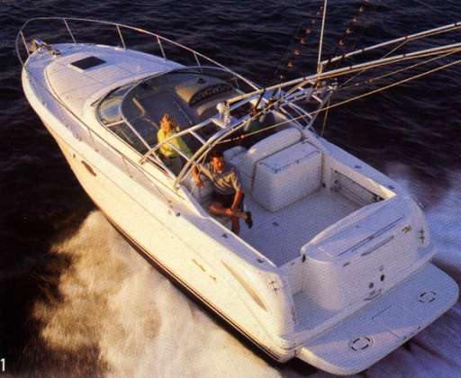 Sea ray Sea ray 290 amberjack