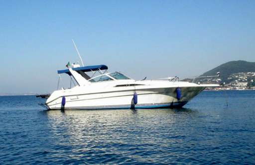 Sea ray Sea ray 310