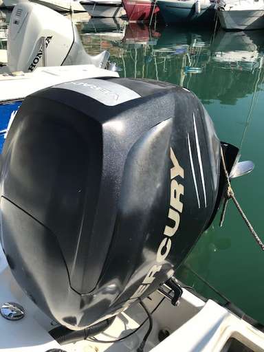 BOSTON WHALER BOSTON WHALER 180 dauntless