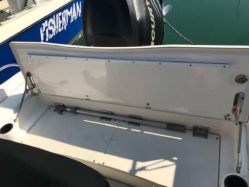 BOSTON WHALER BOSTON WHALER 180 dauntless