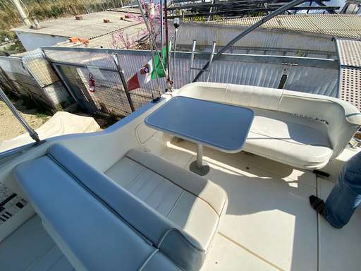 SEA RAY SEA RAY 250 sundancer