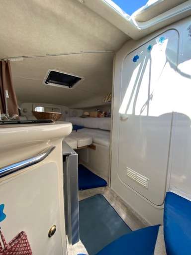 SEA RAY SEA RAY 250 sundancer