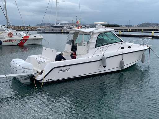 BOSTON WHALER BOSTON WHALER 345 CONQUEST