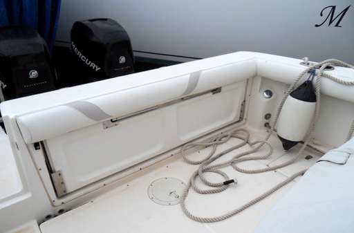 Boston Whaler Boston Whaler Outrage 320