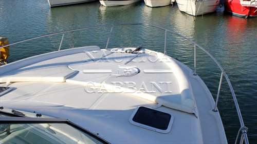 SEA RAY SEA RAY 310 sundancer