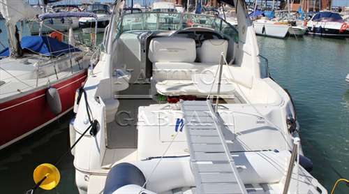 SEA RAY SEA RAY 310 sundancer