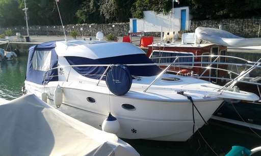 Sessa Sessa Dorado 26