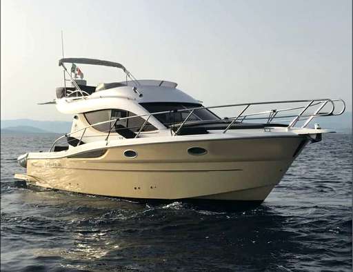 Sessa Sessa Dorado 36