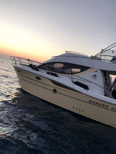 Sessa Sessa Dorado 36