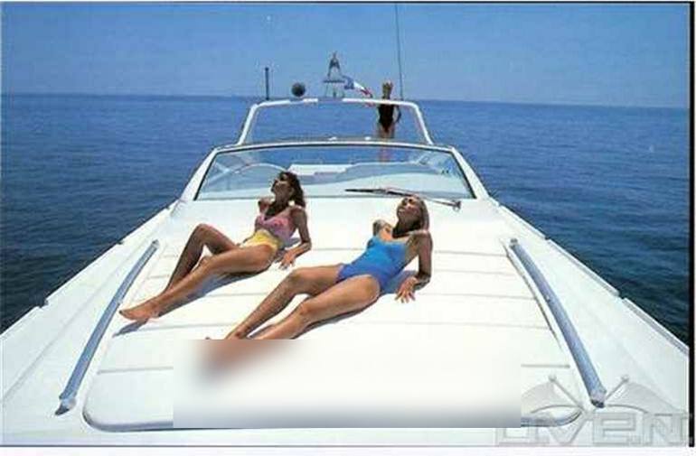 Alfamarine 50' open