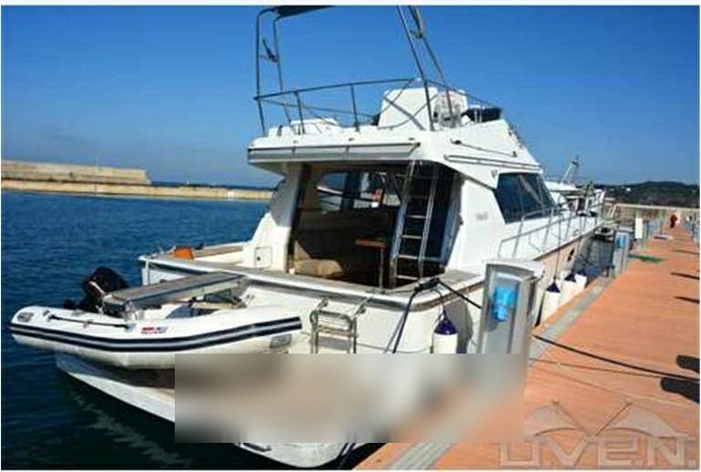 Hudson & ricci 40 fly poppa lunga Motor boat used for sale