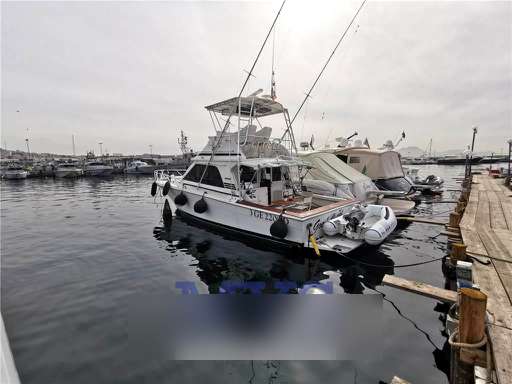 Blackfin Blackfin 38 convertible