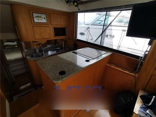 Blackfin Blackfin 38 convertible