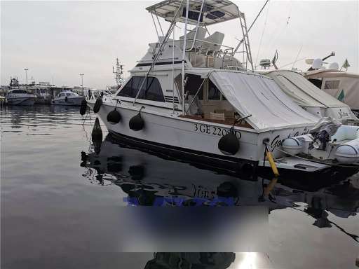 Blackfin Blackfin 38 convertible