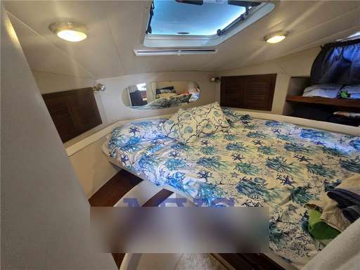 Space Space 310 Cruiser