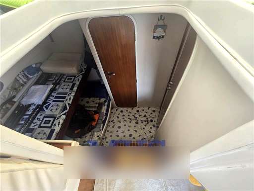 Space Space 310 Cruiser