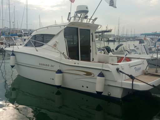 SESSA SESSA Dorado 26'