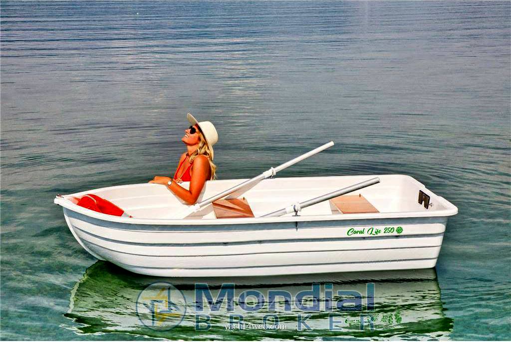 Verga 1958 Coral life 250 Express cruiser