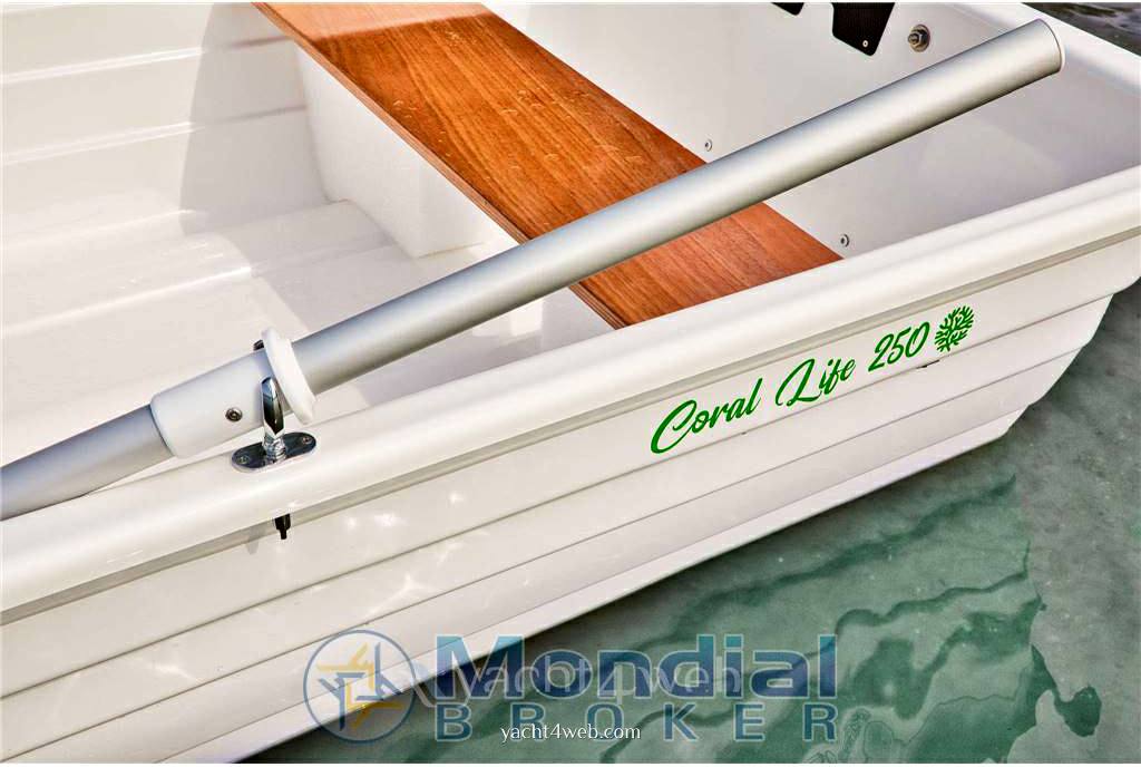 Verga 1958 Coral life 250 Express Cruiser Neu