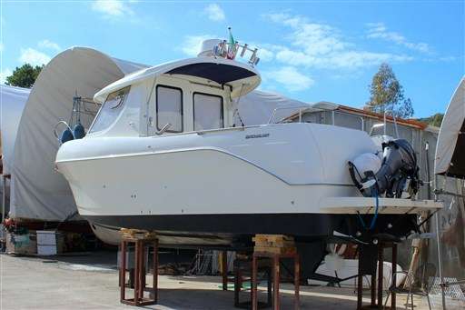 Quicksilver Quicksilver 250 Arvor (2012)