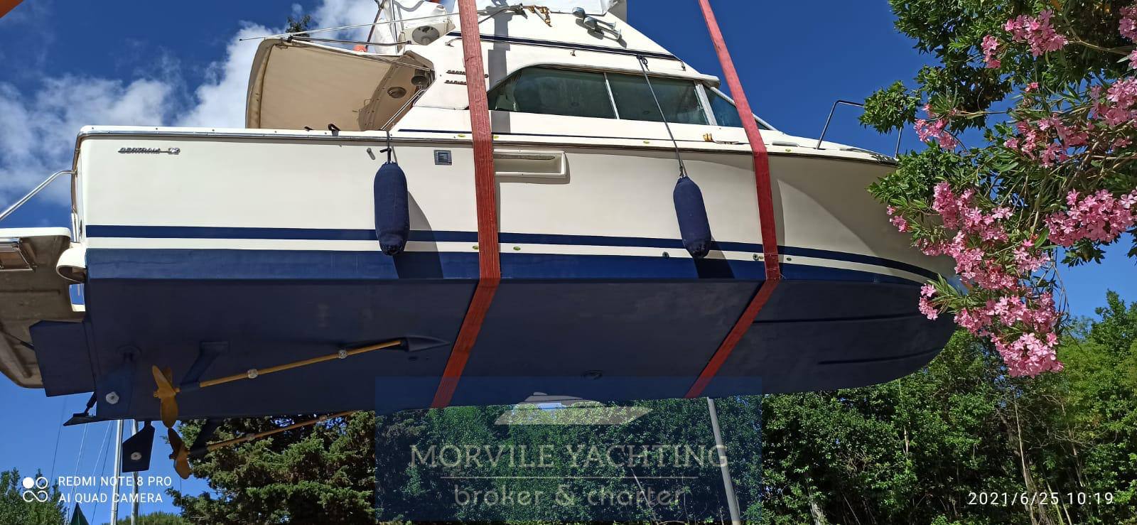 Bertram 32 carribean