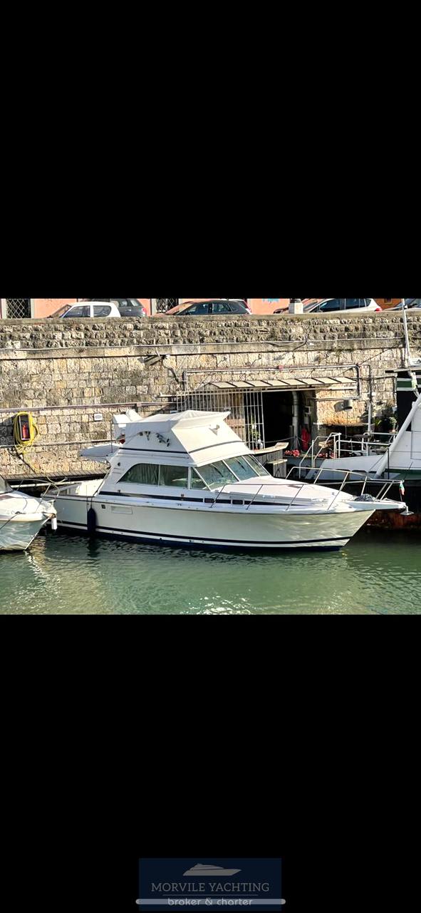 Bertram 32 carribean