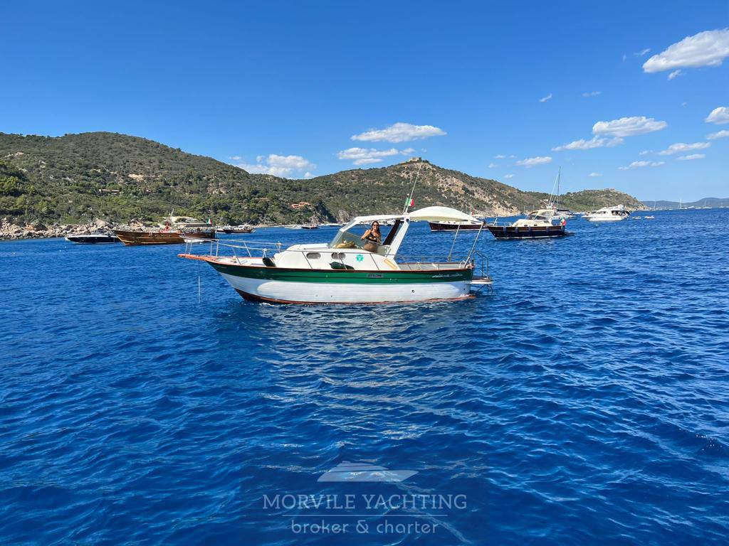 Plastimare Amelia 800