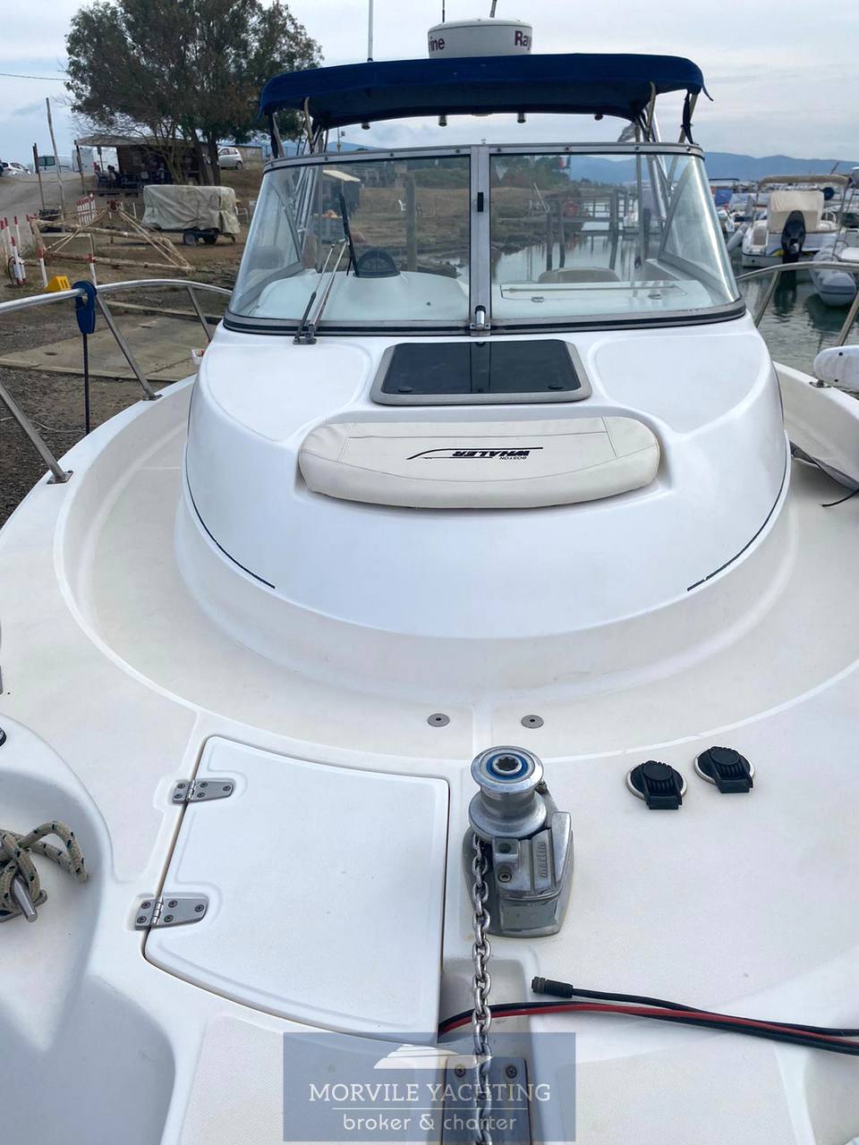 Boston whaler 255 conquest