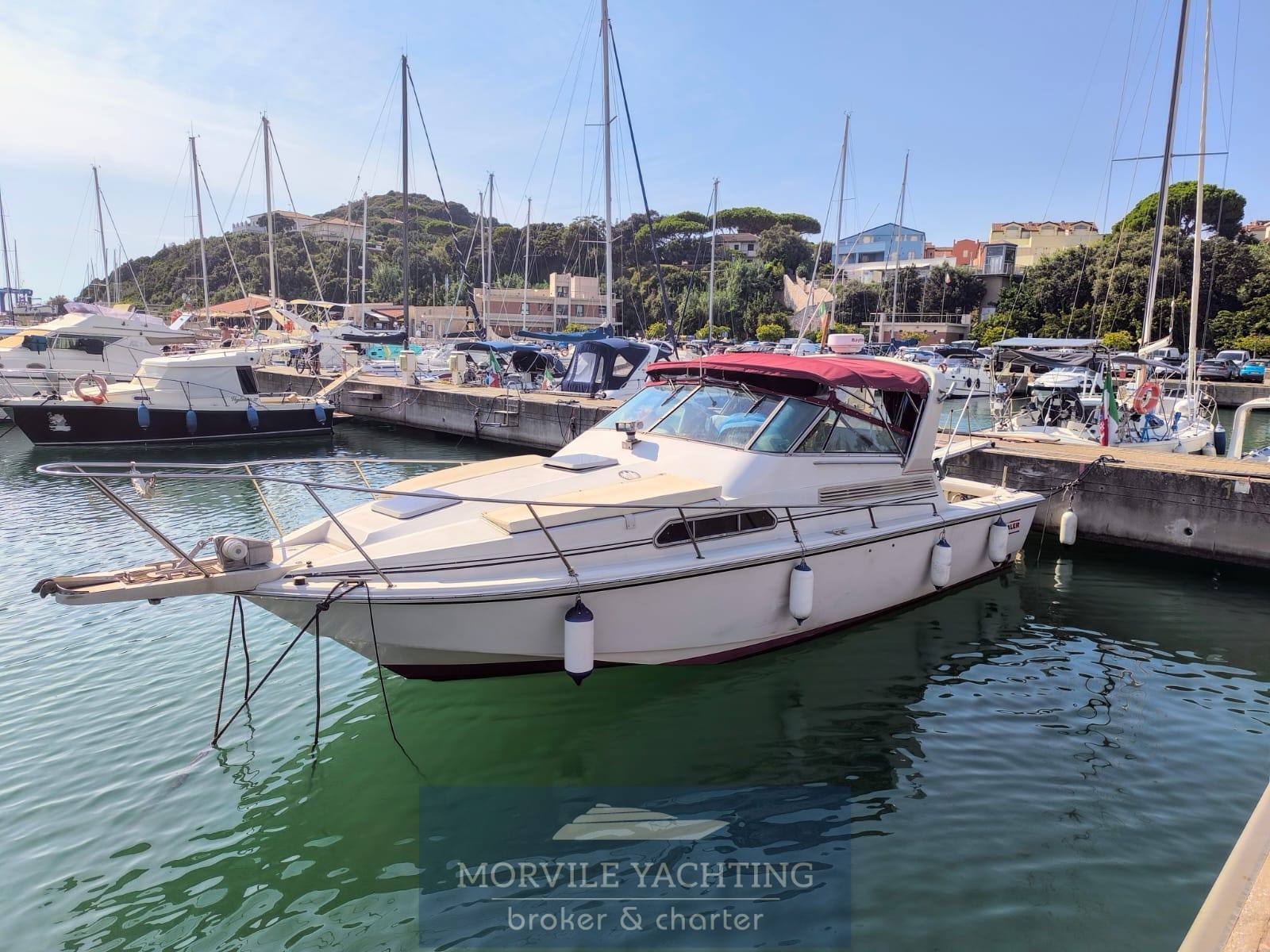 Boston whaler 31