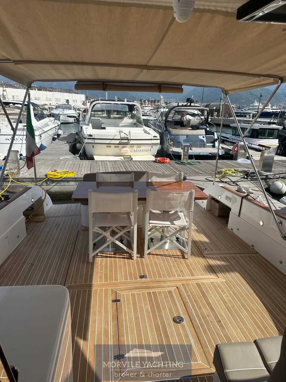 Mochi craft Dolphin 51